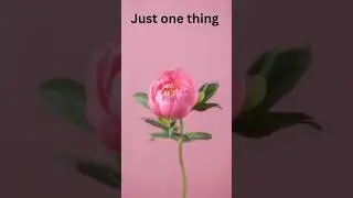 Don't loose this#inspiration short video