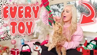 BUYING MY PUPPY EVERY CHRISTMAS TOY AT THE STORE!