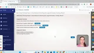 SAM Critical Thinking Project 1c Excel Module 03 Working with Large Worksheets, Charting, What-If…