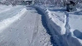 ÇANAKÇI GİRESUN - DOĞADA KAL