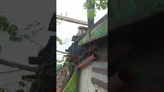 Matatapos din Yan, dahandahan lang.#rooftop #repair