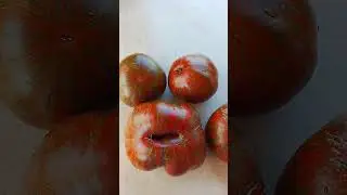 ПОМИДОР-РЕКОРДСМЕН ПО ВЕЛИЧИНЕ‼️
