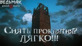 The Witcher: Wild Hunt - Мод "Школа Плотвы" (Запись стрима) №7