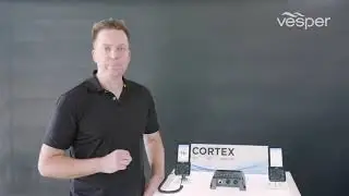 Vesper Cortex Demonstration