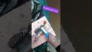 Рыбочистка из китая. Очень хорошая штука 