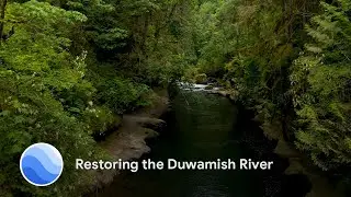 Restoring the Duwamish River