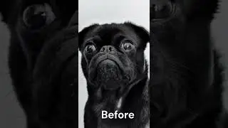 Cartoon Portrait Effect in Photoshop
