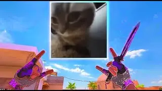 Chipi chipi Chapa chapa ❤