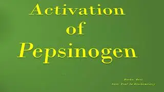 Pepsin  || Pepsinogen || Gastric Juice || Digestive Enzymes || Role of Pepsin || CUET || NEET