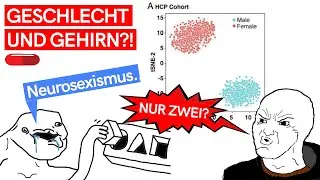 NEUESTE HASSFAKTEN: Stanford Studie enthüllt BIOLOGISCHE GESCHLECHTSUNTERSCHIEDE IM GEHIRN?!