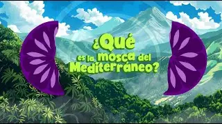 ¿Que es la Mosca del Mediterráneo?