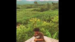 pY-1 - นางฟ้าคืนถิ่น ( Official Audio )