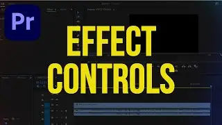 How to Use EFFECT CONTROLS in Premiere Pro (Keyframes, Motion, Opacity Explained)