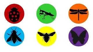 🪲🐞🦋Guess the picture: Belalang Sembah, Capung, Kumbang Koksi, Kupu Kupu, Lebah Madu, dan Tawon