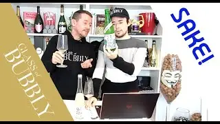 The Wasabi Company - Let's taste some sake!