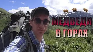 МЕДВЕДИ в горах Самсари/4-х дневная экспедиция в Ахалкалакский регион. 2.06.24-5.05.24 #georgia