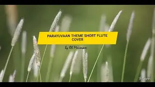 Short flute cover / Parayuvaan song @RKMAISNAM