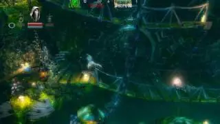 Trine - 9: Fangle Forest