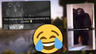 Reacting to Discord Memes