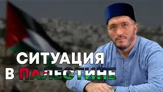 Палестина, «Сектор Газза», оккупация, и другие подробности
