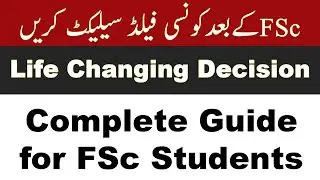 What should I do after FSc | Best Degree option After FSc