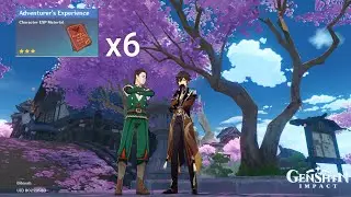 This NPC gives x6 Adventurer's Experience | Genshin Impact Inazuma