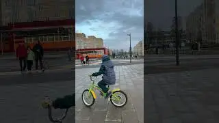 Романовка, Всеволожск, вечер 13 апреля.