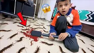 Kunali के रूम में घुस आये कीड़े 😱 हो गई हालत ख़राब @souravjvlogs @Minivlogs-UK #souravjoshivlogs