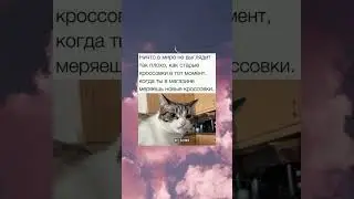 #memes #shorts