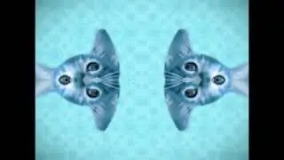 Preview 2 Numa cat effects (sponsored by preview 2 effects) in g major mirror top
