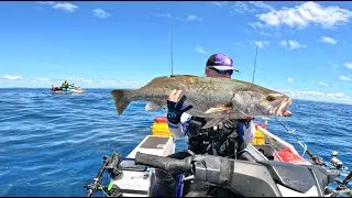 The Predators STRIKE!  Live BAIT vs MAHI and BIG JEW Fish!