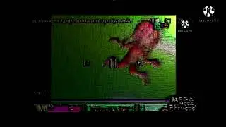 THE GOKOHOG OF ROBITAK