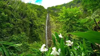 8 Hours - Hawaii Waterfall with Relaxing Nature Sounds - 4K HD | Great Escapes