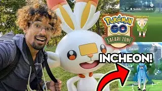 Pokémon GO's Incheon Safari Zone added a NEW GO Fest feature!