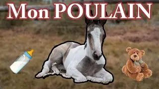 Le POULAIN est NÉ ! ❤️