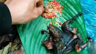 đi bẫy chuột rừng.thăm bẫy ngày thứ hai