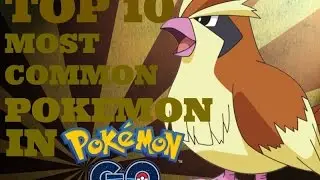 Top 10 Most Common Pokemon In Pokemon GO!