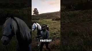How to Get the Fastest Horse Early in Red Dead Redemption 2