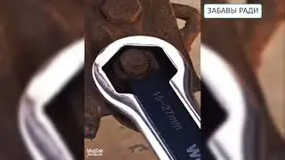 Инструменты и полезные приборы, о существовании которых вы, скорее всего, не знали