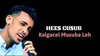 Nimcaan onkod _-_hees cusub kalgacel muxubo leh 2020