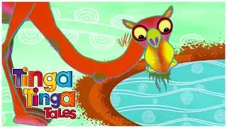 Camel Slurped All the Water! 🐪 | 1 HOUR of Animal Stories | Tinga Tinga Tales Official