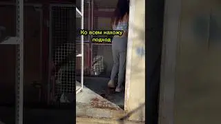 Ко всем нахожу подход