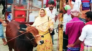 Eid-Ul-Adha উপলক্ষে গরুর হাটে গেলাম আর মন মতো গরু কিনলাম 2022। Rina Begum