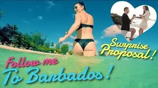 #Travel: Follow Me To Barbados! (SURPRISE PROPOSAL!)