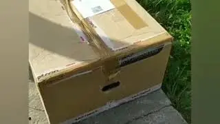 Наша новая коляска Патрон Жаско Стрит