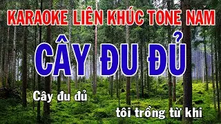 Karaoke Liên Khúc Trữ Tình - Tone Nam Nhạc Sống - Cây Đu Đủ - Phối Mới Dễ Hát - Nhật Nguyễn