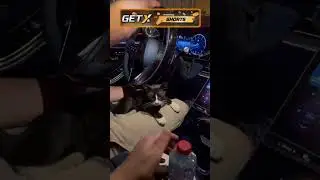 Отдали Дочке моего кумы. Рада от счастья🥺😍 