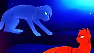 Топ 6 самых несчастных пар котов воителей.