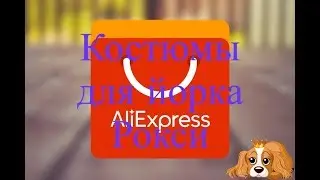 Распаковка посылок из интернет - магазина AliExpress, для йорка Рокси!