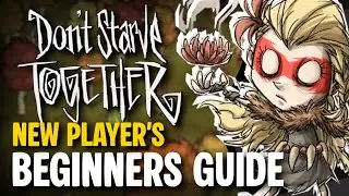 Don't Starve Together | Beginner's Guide - Tips and Tricks